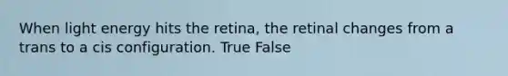 When light energy hits the retina, the retinal changes from a trans to a cis configuration. True False