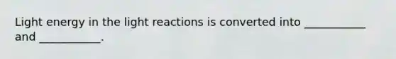 Light energy in the light reactions is converted into ___________ and ___________.