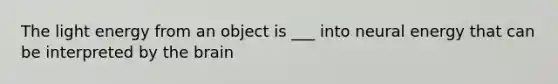 The light energy from an object is ___ into neural energy that can be interpreted by the brain