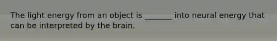 The light energy from an object is _______ into neural energy that can be interpreted by the brain.