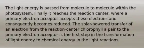 The light energy is passed from molecule to molecule within the photosystem. Finally it reaches the reaction center, where a primary electron acceptor accepts these electrons and consequently becomes reduced. The solar-powered transfer of an electron from the reaction-center chlorophyll a pair to the primary electron acceptor is the first step in the transformation of light energy to chemical energy in the light reactions.