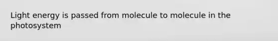 Light energy is passed from molecule to molecule in the photosystem