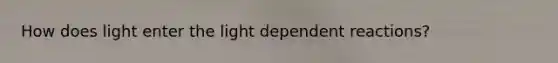 How does light enter the light dependent reactions?