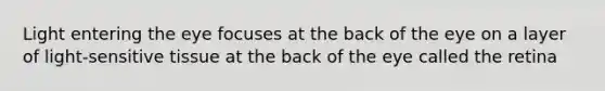 Light entering the eye focuses at the back of the eye on a layer of light-sensitive tissue at the back of the eye called the retina