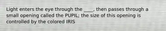 Light enters the eye through the ____, then passes through a small opening called the PUPIL; the size of this opening is controlled by the colored IRIS