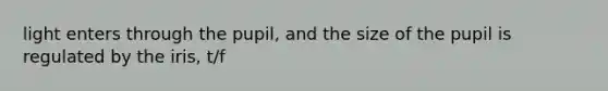 light enters through the pupil, and the size of the pupil is regulated by the iris, t/f