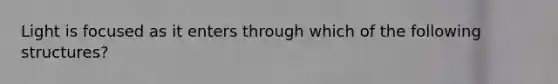 Light is focused as it enters through which of the following structures?