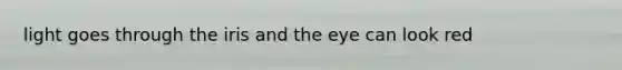 light goes through the iris and the eye can look red