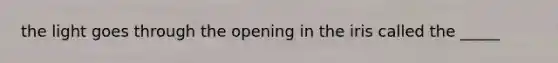 the light goes through the opening in the iris called the _____