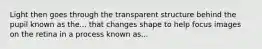 Light then goes through the transparent structure behind the pupil known as the... that changes shape to help focus images on the retina in a process known as...