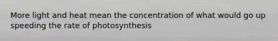 More light and heat mean the concentration of what would go up speeding the rate of photosynthesis