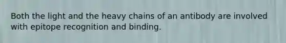 Both the light and the heavy chains of an antibody are involved with epitope recognition and binding.