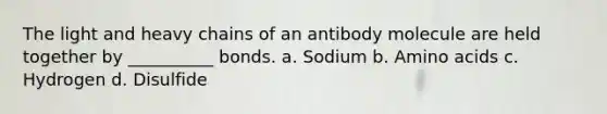 The light and heavy chains of an antibody molecule are held together by __________ bonds. a. Sodium b. <a href='https://www.questionai.com/knowledge/k9gb720LCl-amino-acids' class='anchor-knowledge'>amino acids</a> c. Hydrogen d. Disulfide