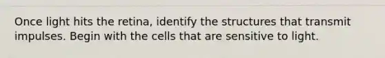 Once light hits the retina, identify the structures that transmit impulses. Begin with the cells that are sensitive to light.