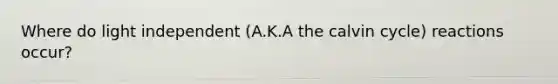 Where do light independent (A.K.A the calvin cycle) reactions occur?