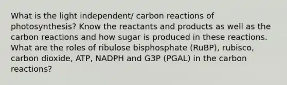 What is the light independent/ carbon reactions of photosynthesis? Know the reactants and products as well as the carbon reactions and how sugar is produced in these reactions. What are the roles of ribulose bisphosphate (RuBP), rubisco, carbon dioxide, ATP, NADPH and G3P (PGAL) in the carbon reactions?