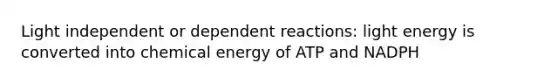 Light independent or dependent reactions: light energy is converted into chemical energy of ATP and NADPH