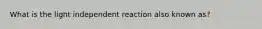 What is the light independent reaction also known as?