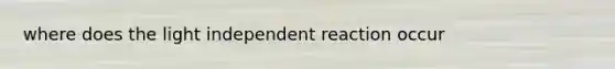 where does the light independent reaction occur