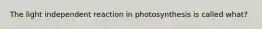 The light independent reaction in photosynthesis is called what?