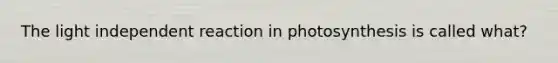 The light independent reaction in photosynthesis is called what?