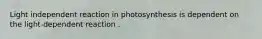 Light independent reaction in photosynthesis is dependent on the light-dependent reaction .