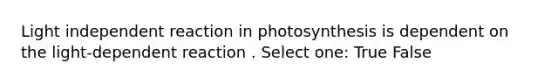 Light independent reaction in photosynthesis is dependent on the light-dependent reaction . Select one: True False