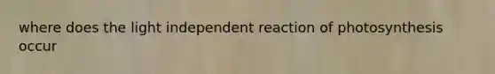 where does the light independent reaction of photosynthesis occur