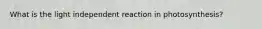 What is the light independent reaction in photosynthesis?