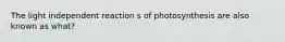 The light independent reaction s of photosynthesis are also known as what?