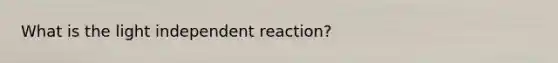 What is the light independent reaction?