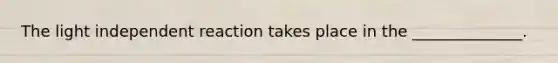 The light independent reaction takes place in the ______________.