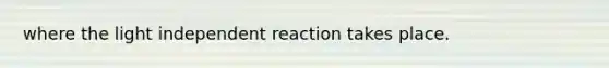 where the light independent reaction takes place.