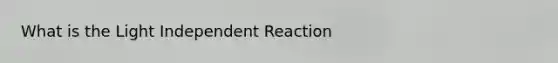 What is the Light Independent Reaction