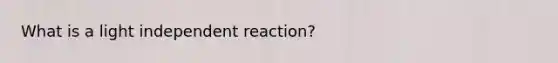 What is a light independent reaction?