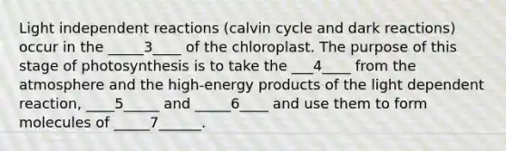 Light independent reactions (calvin cycle and dark reactions) occur in the _____3____ of the chloroplast. The purpose of this stage of photosynthesis is to take the ___4____ from the atmosphere and the high-energy products of the light dependent reaction, ____5_____ and _____6____ and use them to form molecules of _____7______.