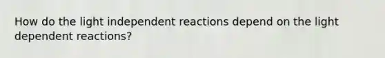 How do the light independent reactions depend on the light dependent reactions?