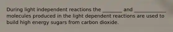 During light independent reactions the ________ and _____________ molecules produced in the light dependent reactions are used to build high energy sugars from carbon dioxide.