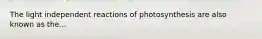 The light independent reactions of photosynthesis are also known as the...