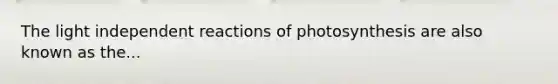 The light independent reactions of photosynthesis are also known as the...