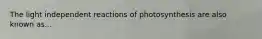 The light independent reactions of photosynthesis are also known as...