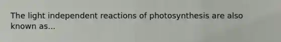 The light independent reactions of photosynthesis are also known as...