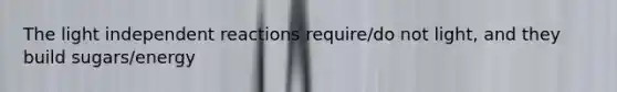 The light independent reactions require/do not light, and they build sugars/energy