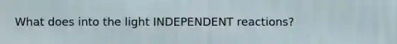 What does into the light INDEPENDENT reactions?
