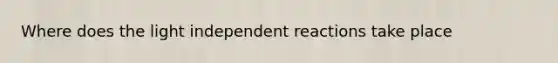 Where does the light independent reactions take place