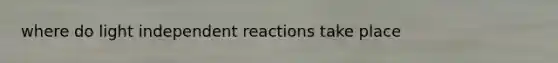 where do light independent reactions take place