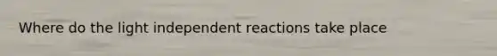 Where do the light independent reactions take place