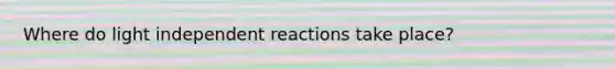 Where do light independent reactions take place?