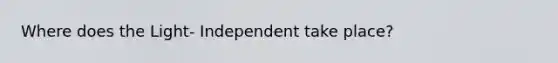 Where does the Light- Independent take place?