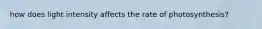 how does light intensity affects the rate of photosynthesis?